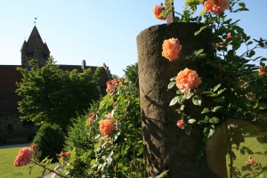 Rosen am Schloss Stocksberg